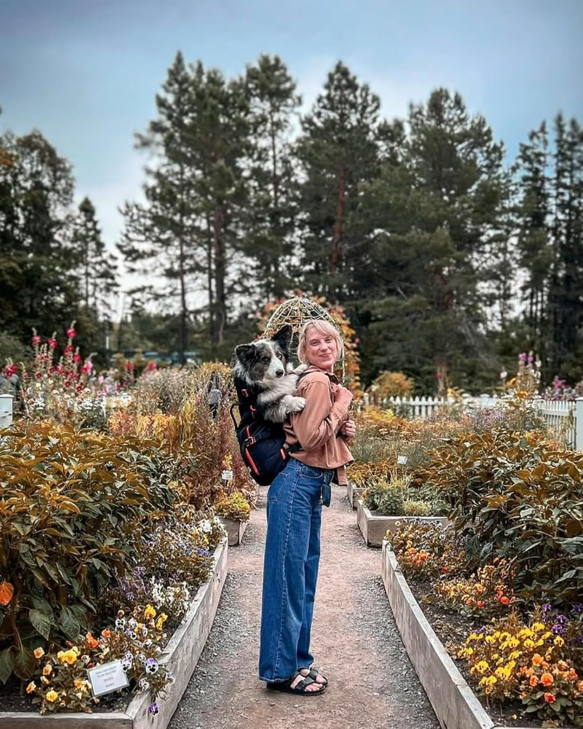 Maxine One Dog Backpack Carrier for Medium Dogs by  | Adjustable & Ergonomic Front Facing Dog Carrier Backpack | Built to Be Safer | Pet Backpack Carrier Featured in Wired Magazine - Black