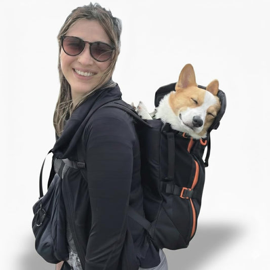 Maxine One Dog Backpack Carrier for Medium Dogs by  | Adjustable & Ergonomic Front Facing Dog Carrier Backpack | Built to Be Safer | Pet Backpack Carrier Featured in Wired Magazine - Black