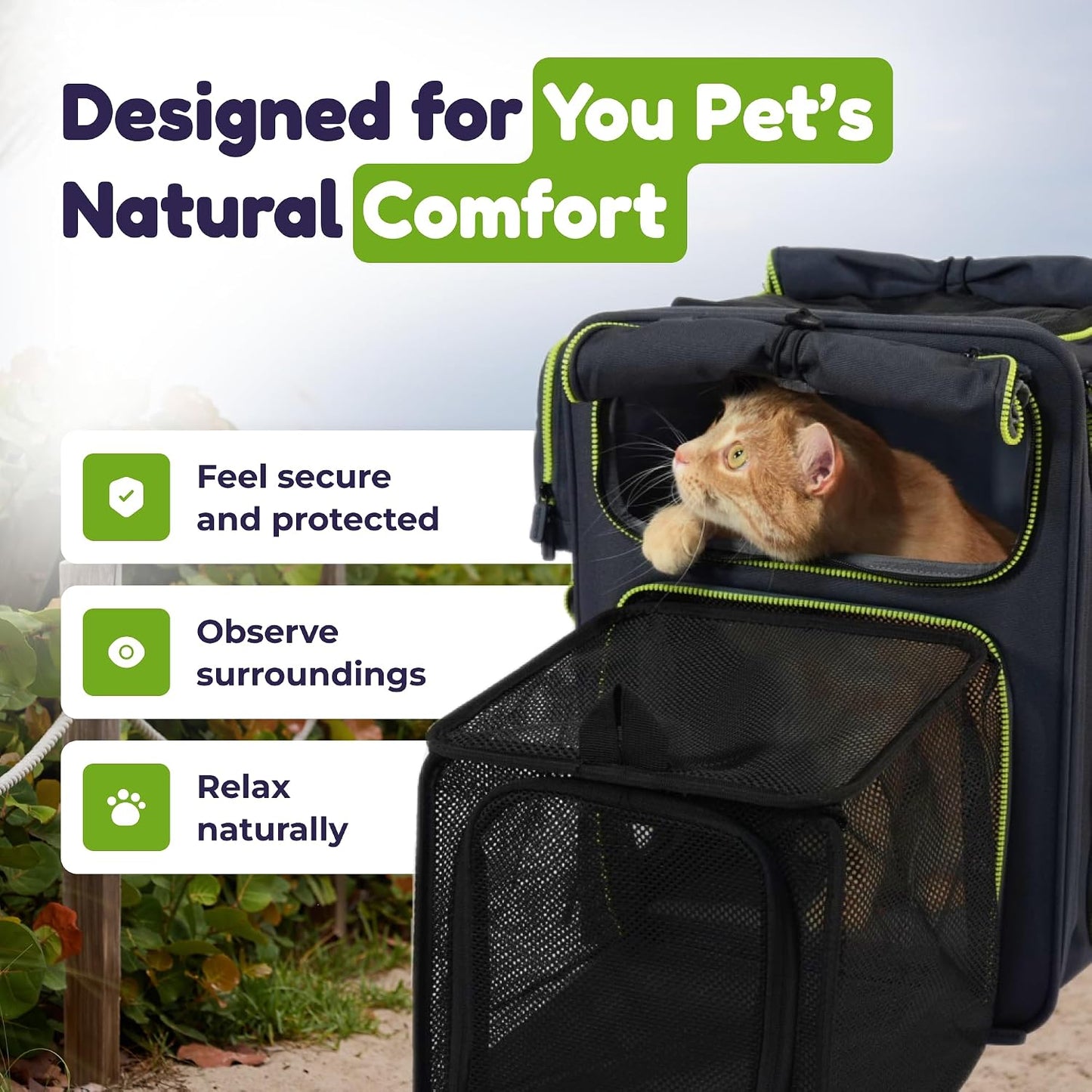 Premium Expandable Cat Carrier Backpack with Car Seat Belt Safety System – Rigid Frame Pet Carrier Backpack for Cats & Small Dogs up to 25 Lbs – Breathable, Durable – Includes Bottle & Feeding Bowl