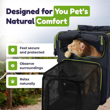 Premium Expandable Cat Carrier Backpack with Car Seat Belt Safety System – Rigid Frame Pet Carrier Backpack for Cats & Small Dogs up to 25 Lbs – Breathable, Durable – Includes Bottle & Feeding Bowl
