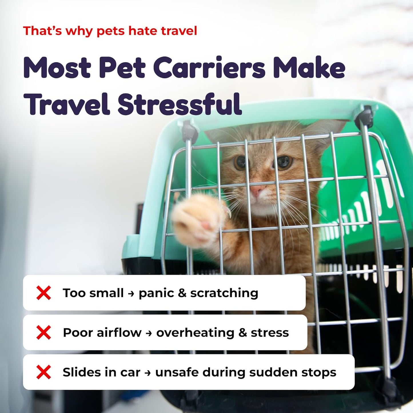 Premium Expandable Cat Carrier Backpack with Car Seat Belt Safety System – Rigid Frame Pet Carrier Backpack for Cats & Small Dogs up to 25 Lbs – Breathable, Durable – Includes Bottle & Feeding Bowl
